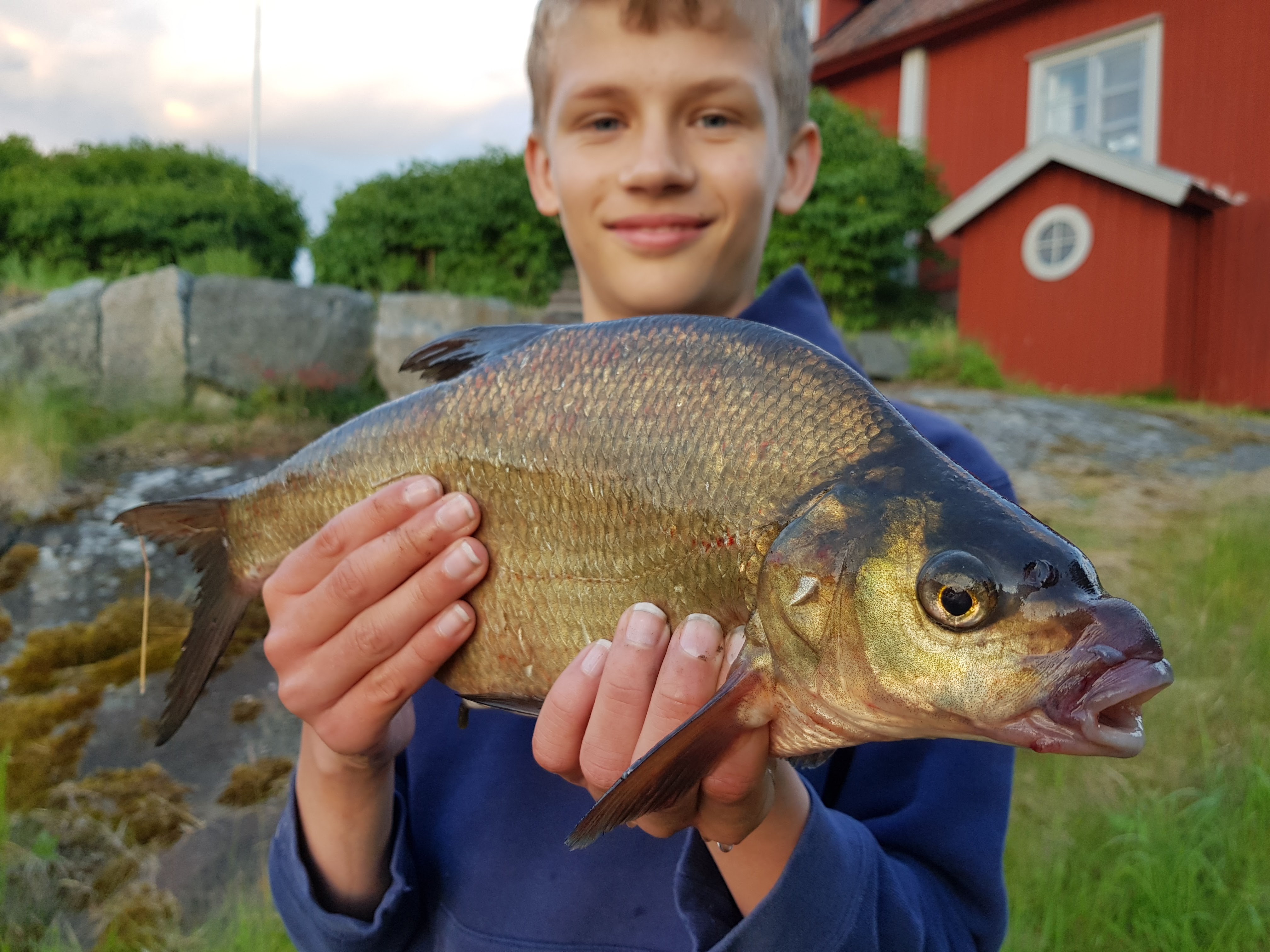 Fiskevatten vid Skafts Gård