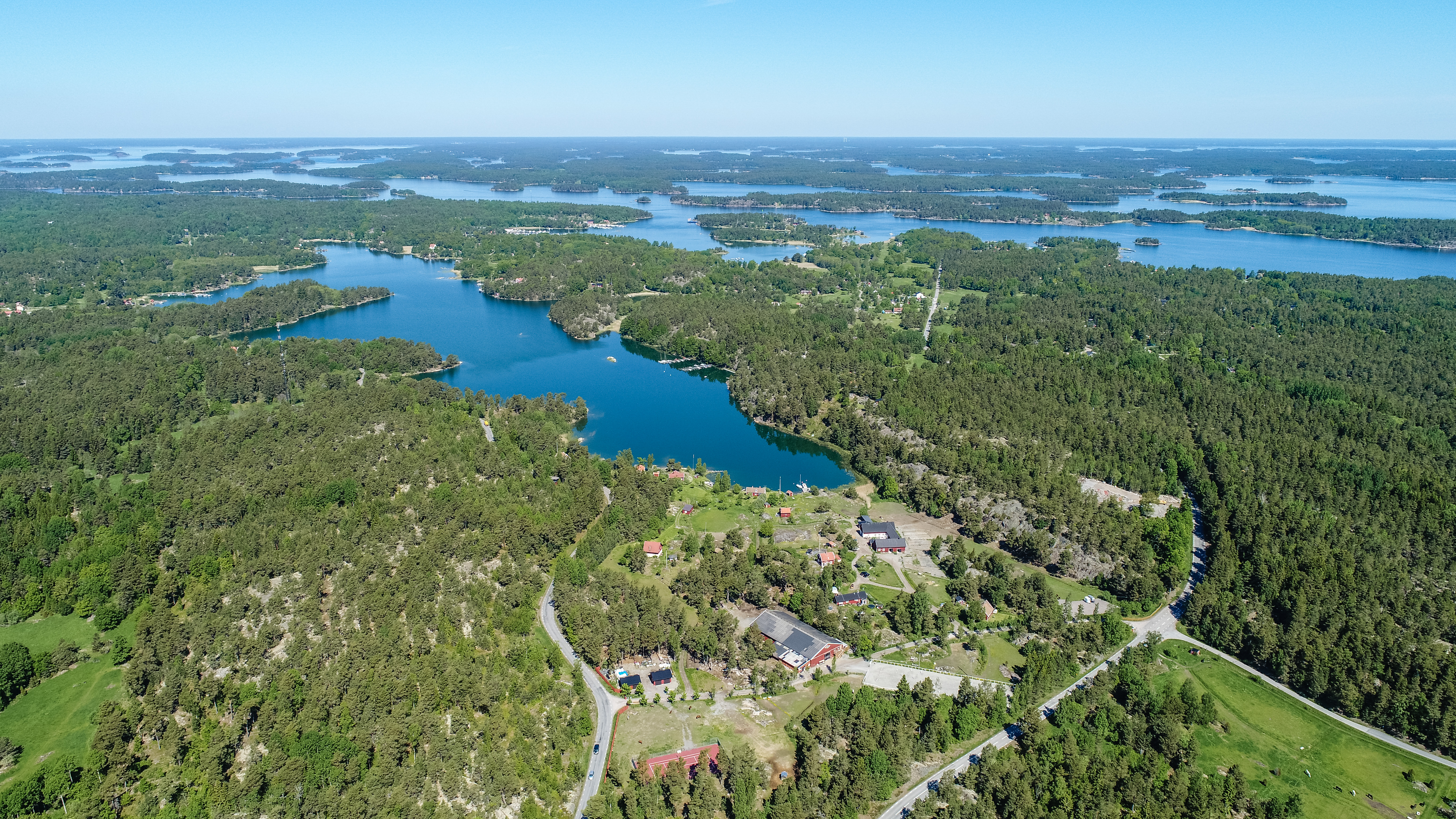 Skogsmiljö på Skafts Gård